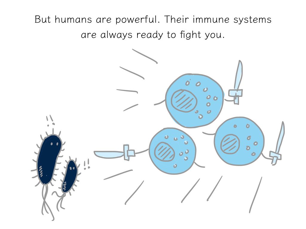 AMR comic — panel 14 of 33