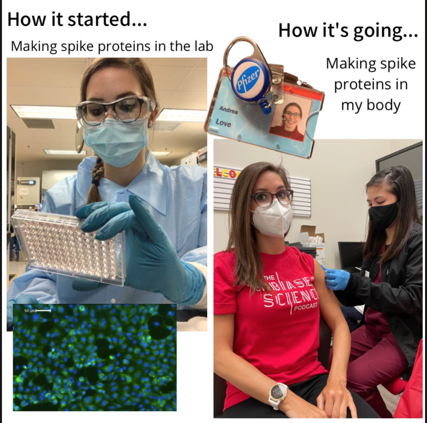 Order in a Time of Chaos: The Women Bringing Sense to Pandemic Nonsense — image 6